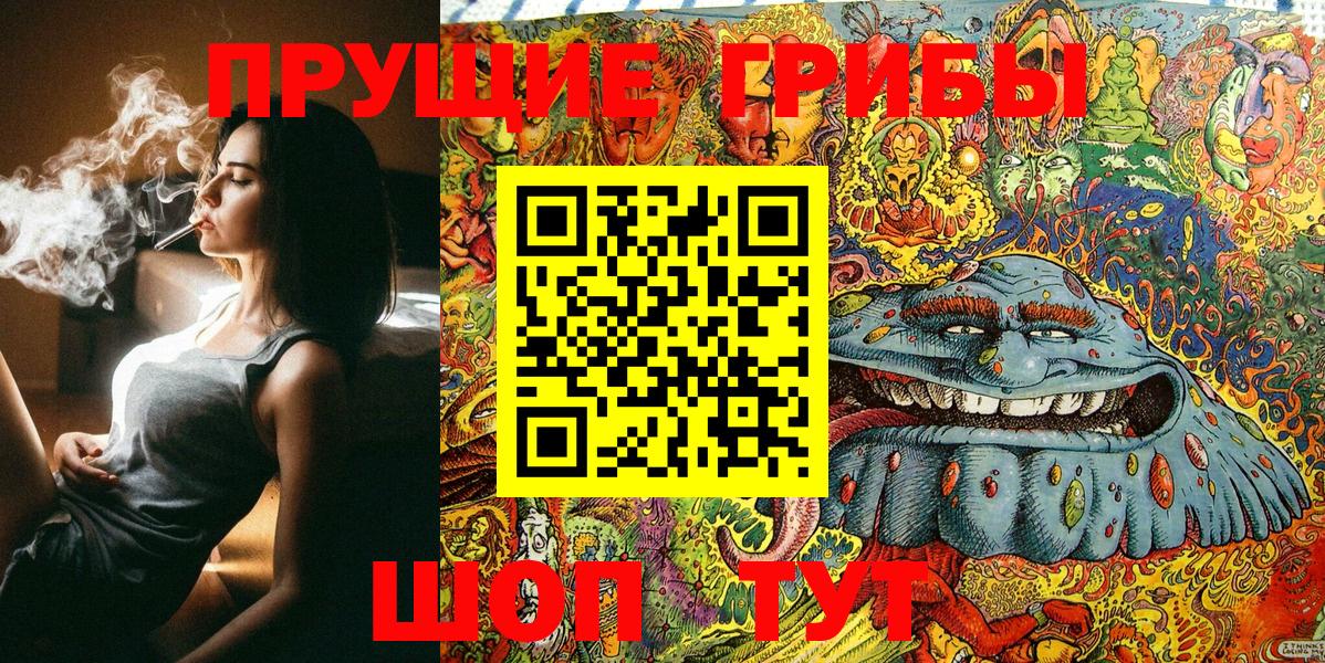 Усть-Джегута  Псилоцибиновые грибы MAGIC MUSHROOMS  Вход с VPN 
